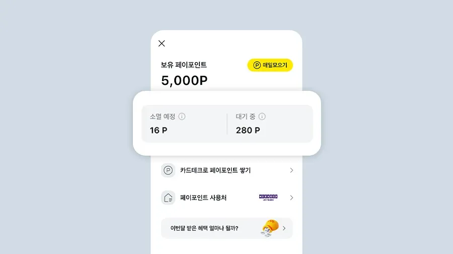 카카오페이포인트 소멸 예정 포인트