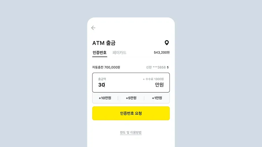 카카오페이머니 ATM 출금
