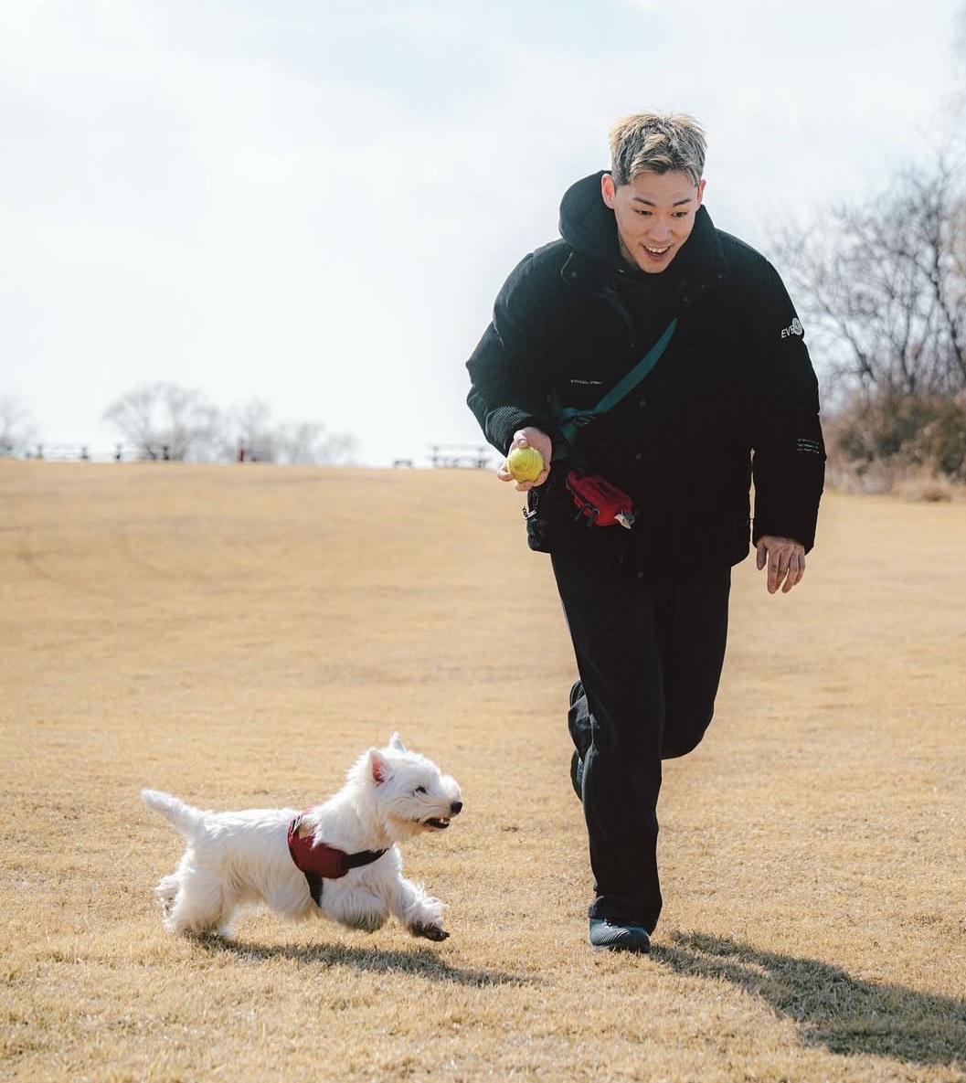 뛰어노는 반려견 시엘이의 모습