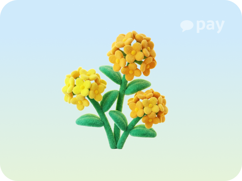 제주 백서향